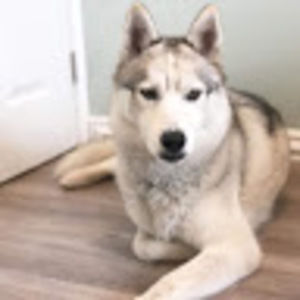 Meet your Posher, Latisha